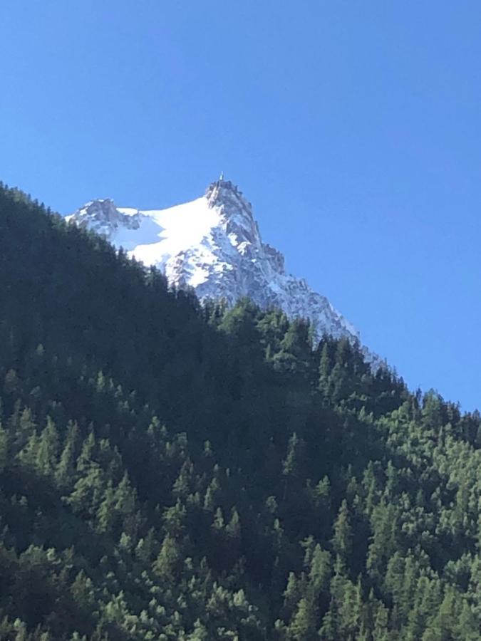 Appartement Aiguille du Midi - Le Chamo'nid à Chamonix Extérieur photo